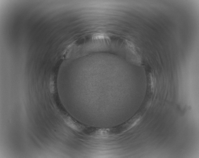 X0000066960080200603311434