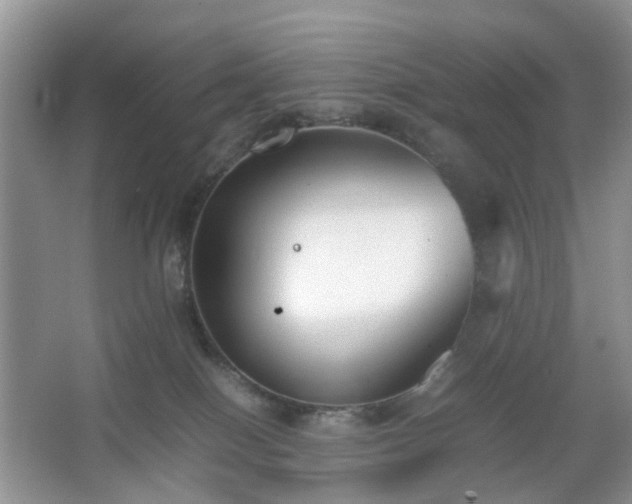 X0000066960086200603311434