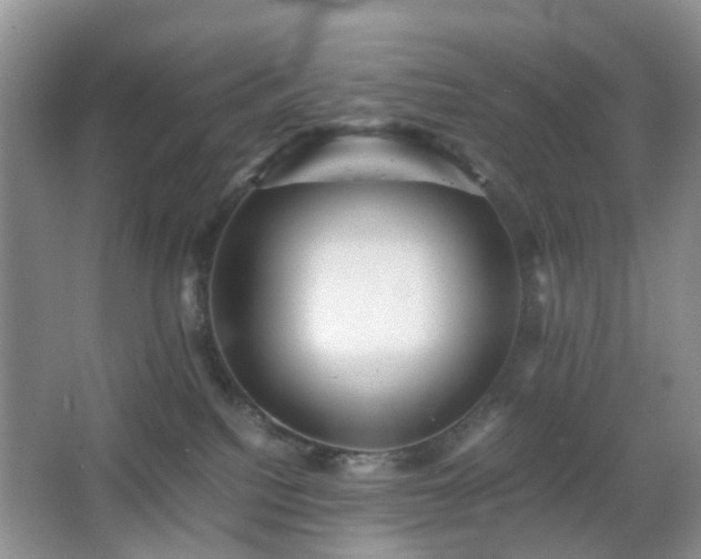 X0000066960088200603311434