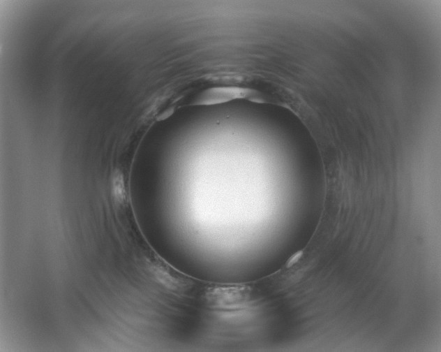 X0000066960089200603311434