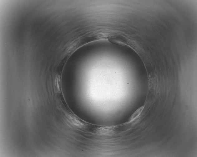 X0000066960094200603311434