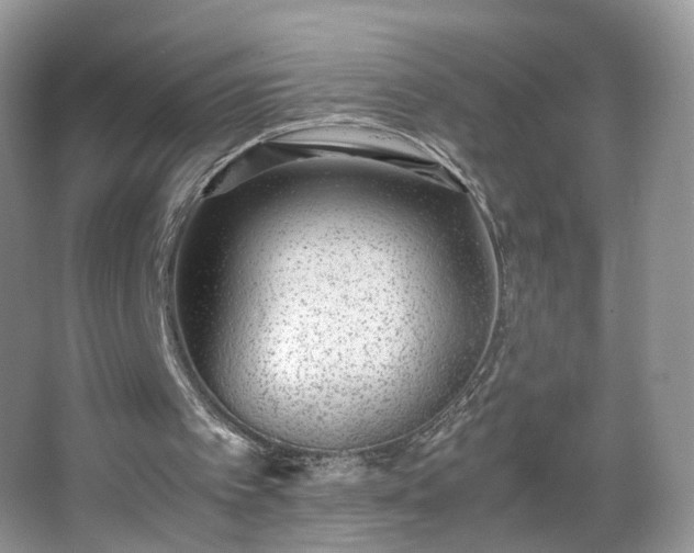 X0000066960097200603311434