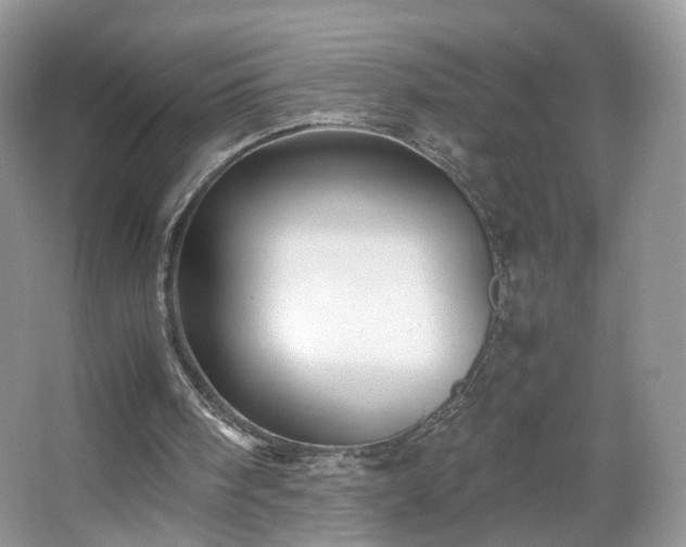 X0000066960098200603311434