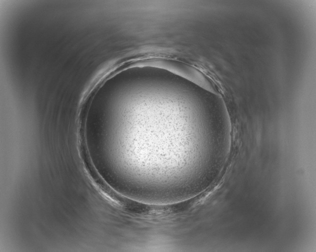 X0000066960101200603311434