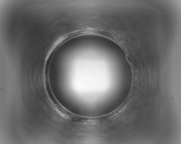 X0000066960102200603311433