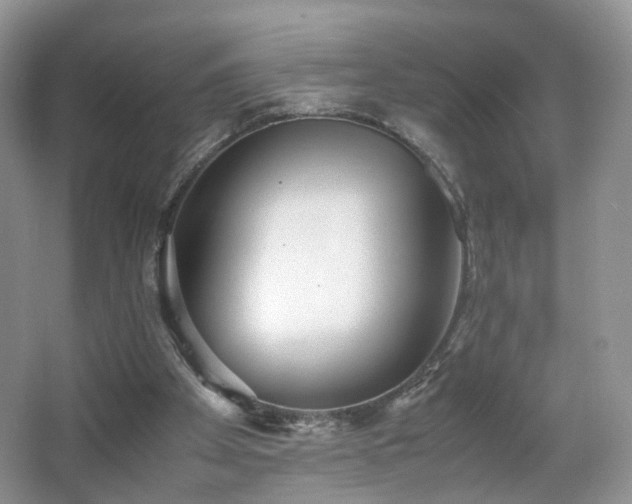 X0000066960105200603311433