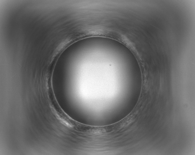 X0000066960106200603311433