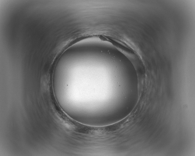 X0000066960107200603311433