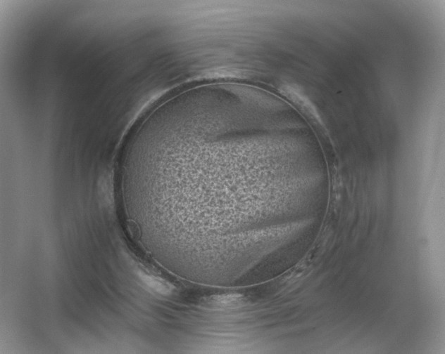 X0000066960108200603311433