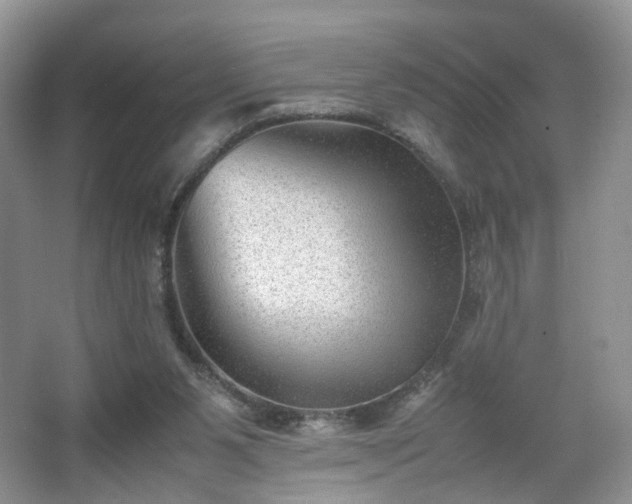 X0000066960111200603311433