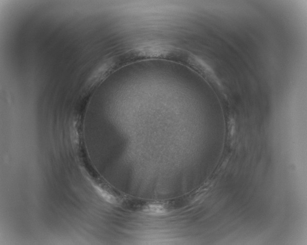 X0000066960114200603311433