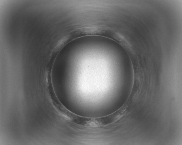 X0000066960115200603311433