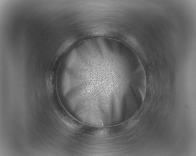 X0000066960116200603311433