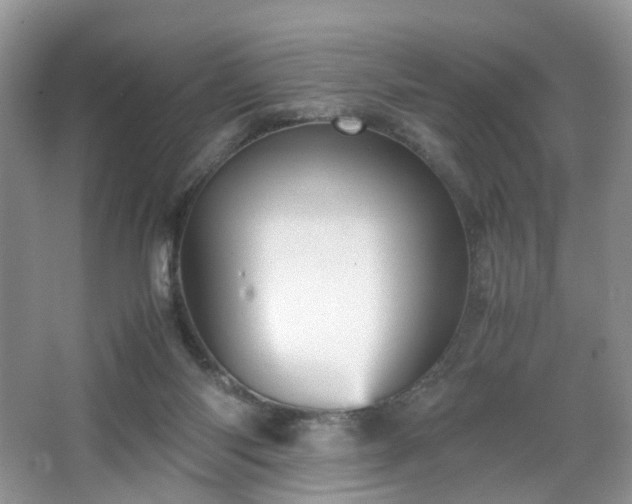 X0000066960118200603311433