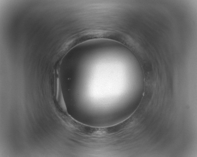 X0000066960119200603311433