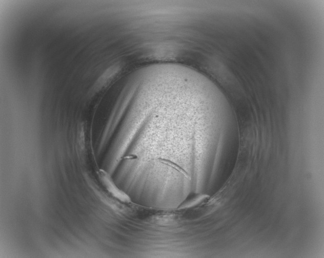 X0000066960120200603311433