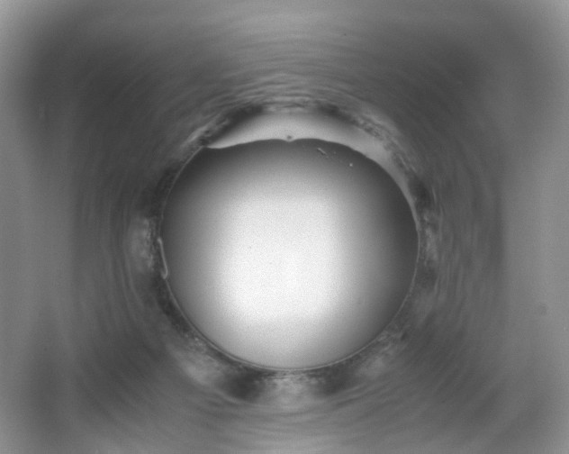 X0000066960121200603311433