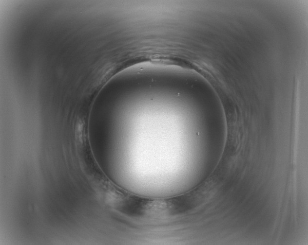 X0000066960123200603311433