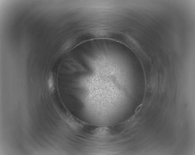 X0000066960124200603311433