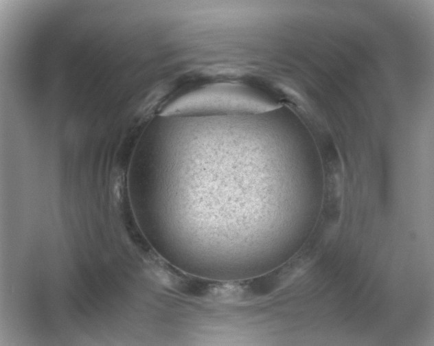 X0000066960125200603311433