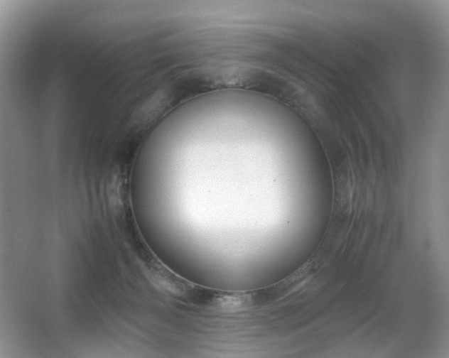 X0000066960126200603311433