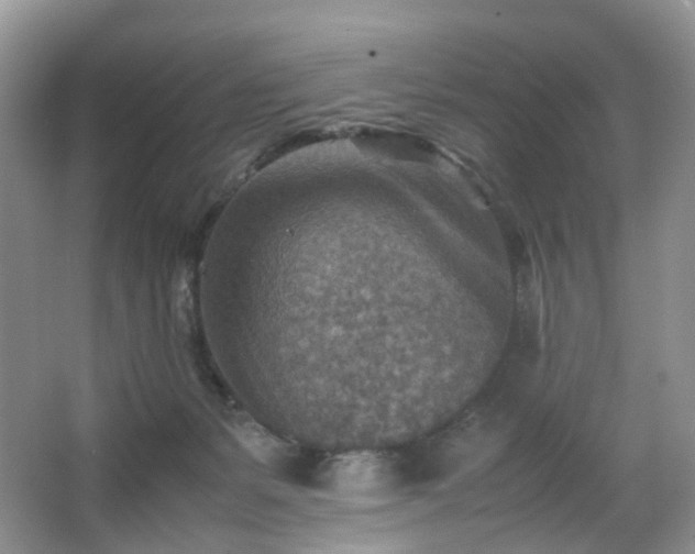 X0000066960127200603311433