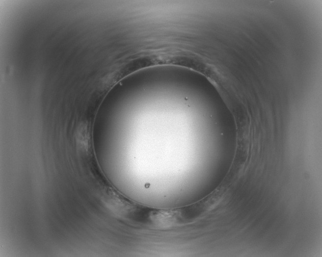 X0000066960129200603311433