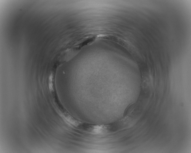 X0000066960130200603311433