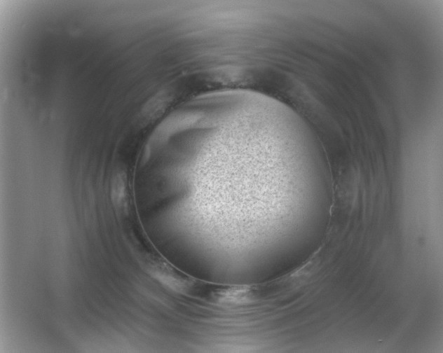 X0000066960132200603311433