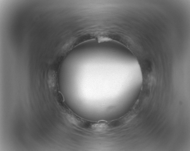 X0000066960133200603311433