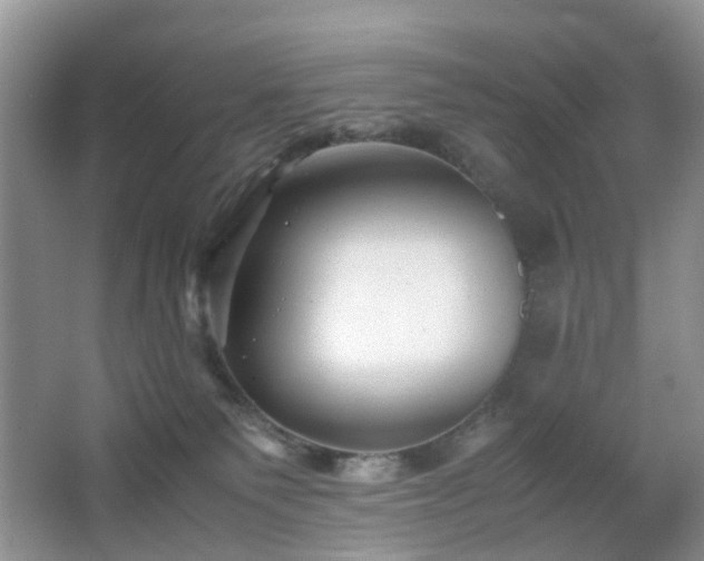 X0000066960135200603311433