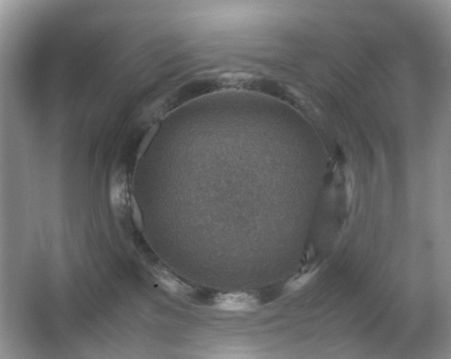 X0000066960137200603311433