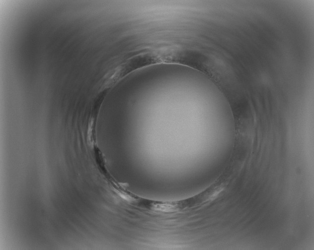 X0000066960139200603311433