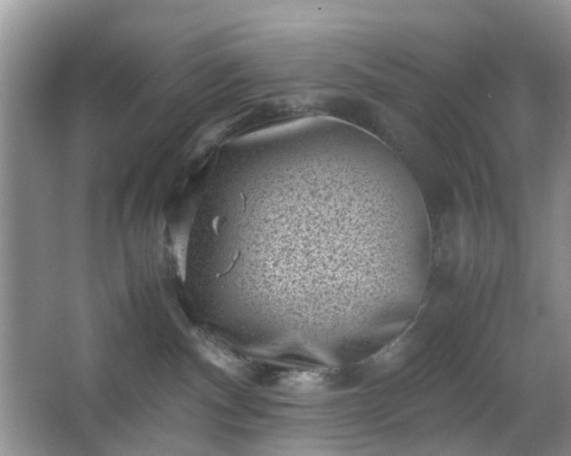 X0000066960140200603311433