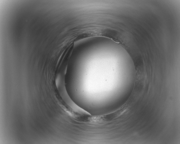 X0000066960141200603311433