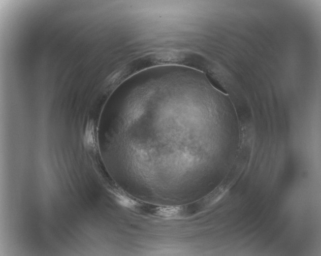 X0000066960143200603311433