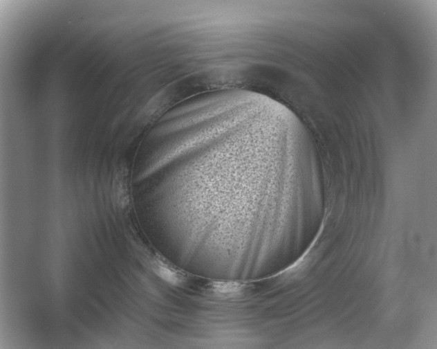 X0000066960144200603311433