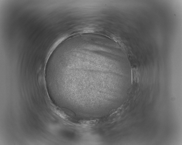 X0000066960147200603311432