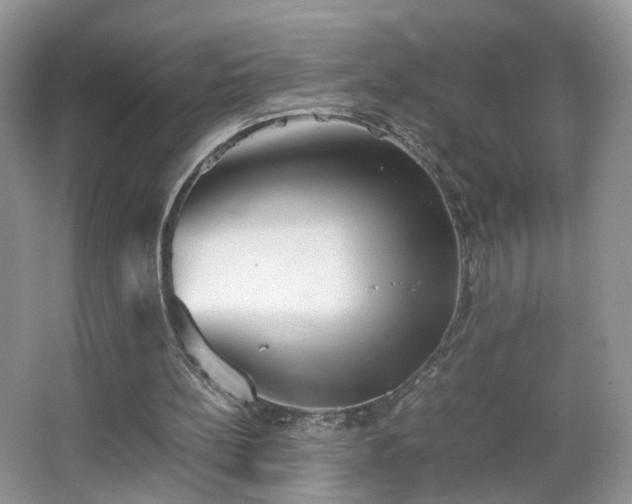 X0000066960148200603311432