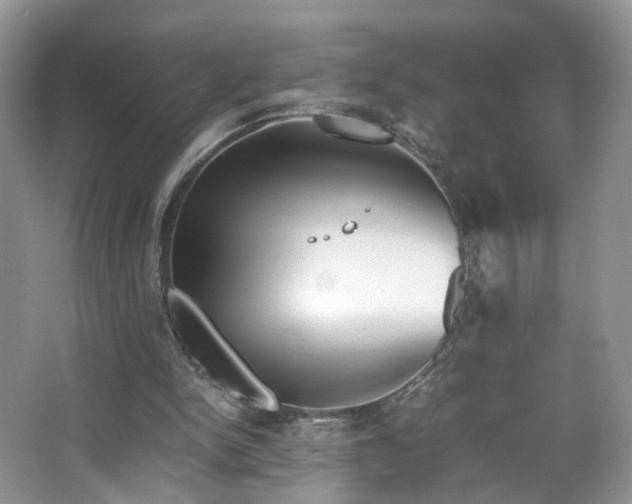 X0000066960150200603311432