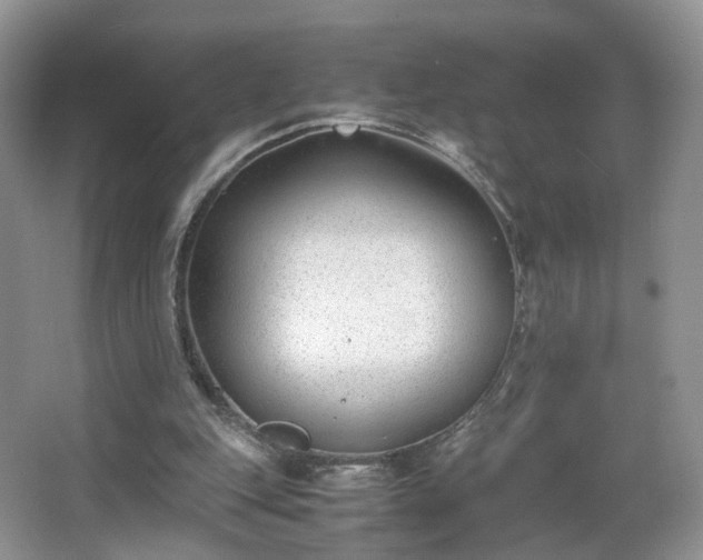 X0000066960151200603311432