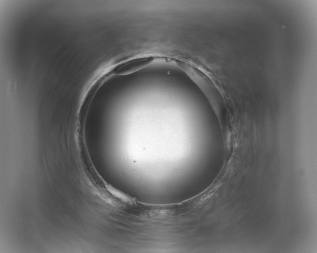 X0000066960152200603311432