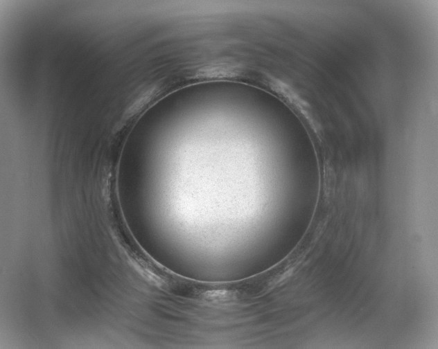 X0000066960153200603311432