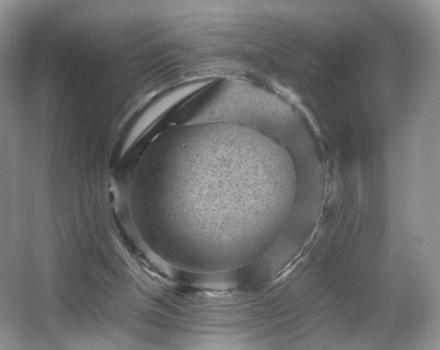 X0000066960154200603311432