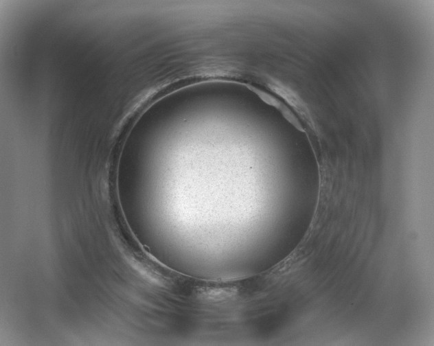 X0000066960155200603311432