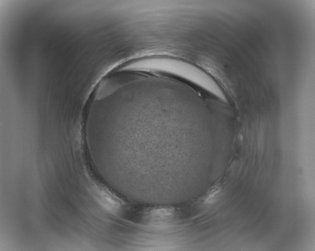 X0000066960156200603311432