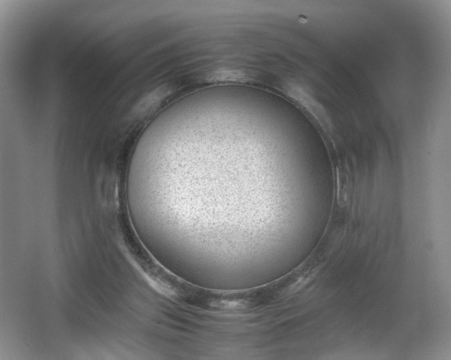 X0000066960157200603311432