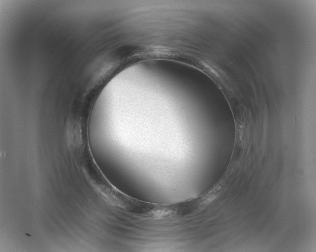 X0000066960158200603311432