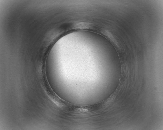 X0000066960159200603311432