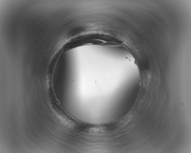 X0000066960160200603311432